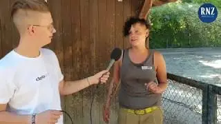 Tierische Hitze im Zoo