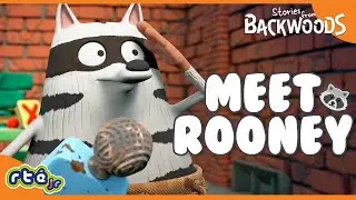 Rooney The Raccoon Reporting For Duty! 🫡🦝 | Stories From Backwoods | @RT&Eacute;KIDSjr