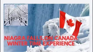 Niagara Falls Experience on Cold Day In January