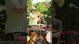 SKALARRASTRA EN VIVO 😮&zwj;💨 #skalarrastra #raggae #ska #experimental