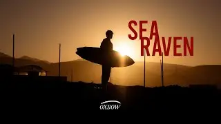 SEA RAVEN - Boris Romann