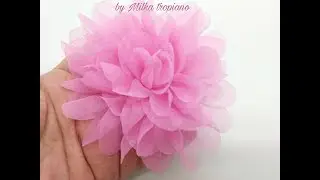 Flor  de Voal