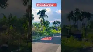 Jante, Morang (One of the beautiful spot from Eastern Nepal)