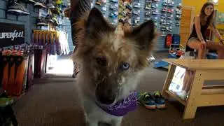 Moving to Boise?  Check out Bandanna Running in Downtown Boise!