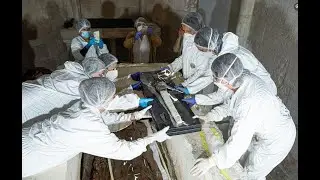 Король Д'Динис, отец ордена Христа в Португалии