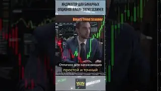 Индикатор для бинарных опционов Binary Trend Scanner