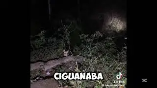 LA SIGUANABA HISTORIA REAL Y CAPTADA EN C&Aacute;MARA