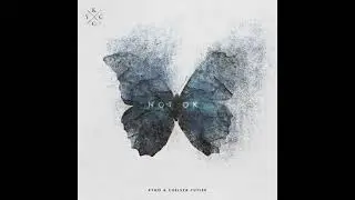 Kygo & Chelsea Cutler | Not Ok - Instrumental