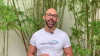 Lupo Digital - Website Campaign Launch