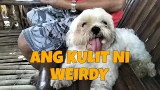 #ANG KULIT NG ASO NI IDOL JAPER NA SI WEIRDY