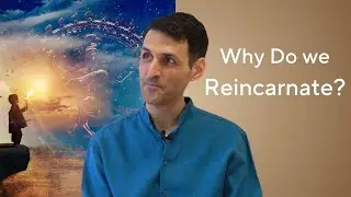 Why do we Reincarnate? | Shai Tubali