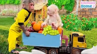 Farmer BiBi makes watermelon ice cream