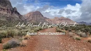 Embrace God's Christmas Salvation |  Luke 2:21-40
