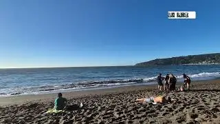 Niebla,Valdivia #chile #valdivia #niebla #video #nature #travel #viajar #viral #subscribe #parati