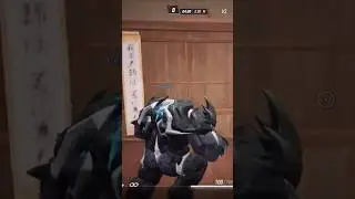 No bots in RANKED,right????