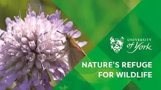 Nature&rsquo;s refuge for wildlife