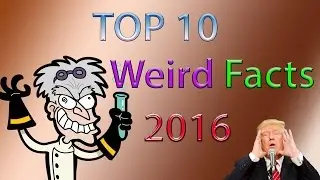 TOP 10 Weird Facts 2016