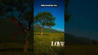 Fully Known, Fully Loved Never Forgotten#prayer#affirmation#bible#faith#jesus#dailyprayer