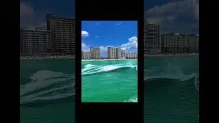 Dolphin Jumping high out of water in Panama City Beach Florida  4K Wildlife Video