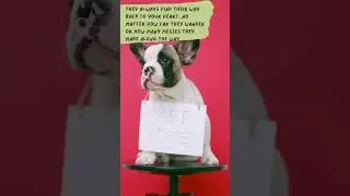 Free Kisses #shortsvideo #viral #youtubeshorts #caninecomedy