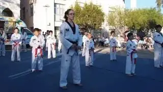 The Martial Way Demo Team at CVHS