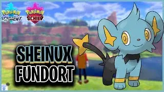 SHEINUX Fundort in Pokemon Schwert & Schild
