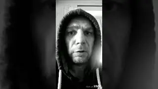 Gr&aring; Sparvar,bra eller inte?