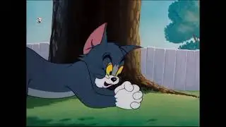 #funny |#tome jerry|#cartoonvideo |#comedy |#cod |#viral