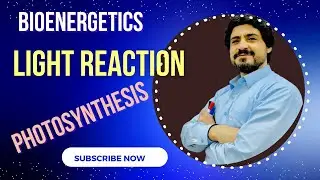 MDCAT BIOLOGY, LIGHT REACTION PHOTOSYNTHESIS #bioenergetics #lightreaction