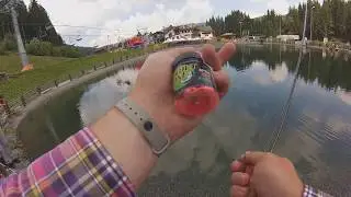 FishUp Tanta VS Trout Zone