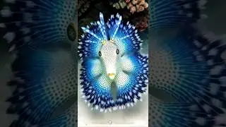 Ocean Imagination का नया chapter | Unique Sea Creatures Part 23 #seacreatures #aishorts #ai #fish
