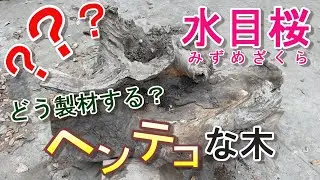 【樺（カバ）】変わった形の水目桜を製材