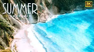 Pixel Bloom 🧬🌸 | Chill House for Creative Animation | Musically Hub