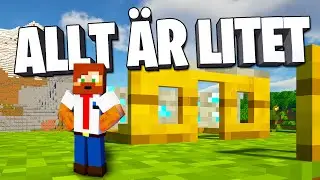 MINECRAFT-MODS, men allt är litet?!