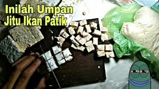 racikan umpan kakap batu/patik..