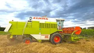 Claas Dominator 108 SL mit Fendt GTA und MB trac 1000 bei der Gerste dreschen 2025