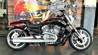 Harley-Davidson V-Rod Muscle 2017 Velocity Red Sunglo