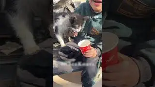 A little boy in Gaza shares food with a stray cat