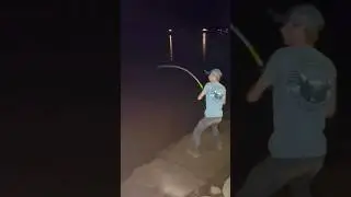 Do you love Fishing?? #fishing #fish #catfish #fishspecies #outdoors #adventure #viral #viralshorts