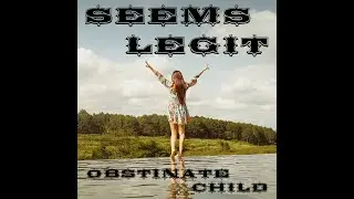 Obstinate Child by SEEMS LEGIT