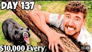 $10,000 Every Day You Survive In The Wilderness || Mrbeast In Hindi Videos || Mrbeast In Urdu Videos