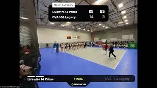 OVA 16G Legacy vs. Livewire 14 Prime (2026.02.01)