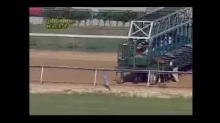 Timonium Fairgrounds 8/31/12 Race 7