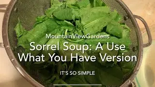 How To Make Sorrel Soup: It&rsquo;s SO Simple