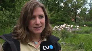 Ausflugsziel Walter Zoo 2019
