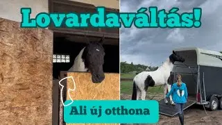 Lovardaváltás! | 𝐻𝐴𝑙𝑖