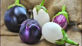 Nutrition Facts - Eggplant