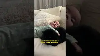sobre gatos. (Parte 2) #gateiros #gateiras #gatos