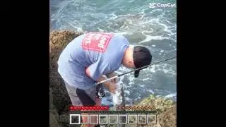 Snook fishing edit