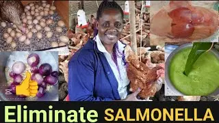 The BEST organic treatments for SALMONELLA in poultry farming